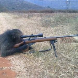 Meet your Posher, Lance